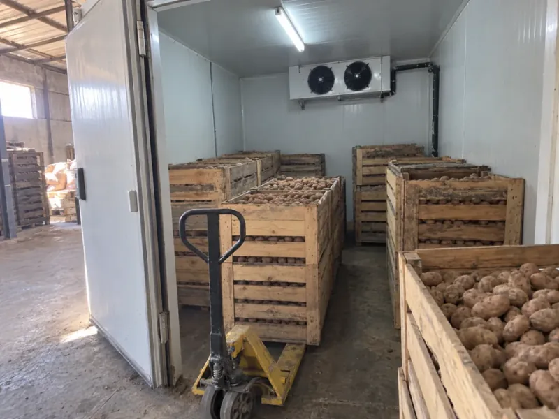 Chambre froide de 40 m² pour la conservation de pommes de terre à Berrechid